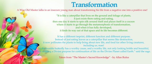 Transformation and complete metamorphosis of Self - Caterpillar - Butterfly Effect